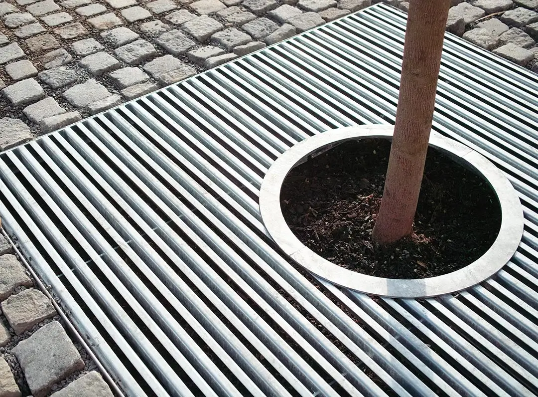 Straßenbäume entsiegeln für eine bessere Stadtbegrünung