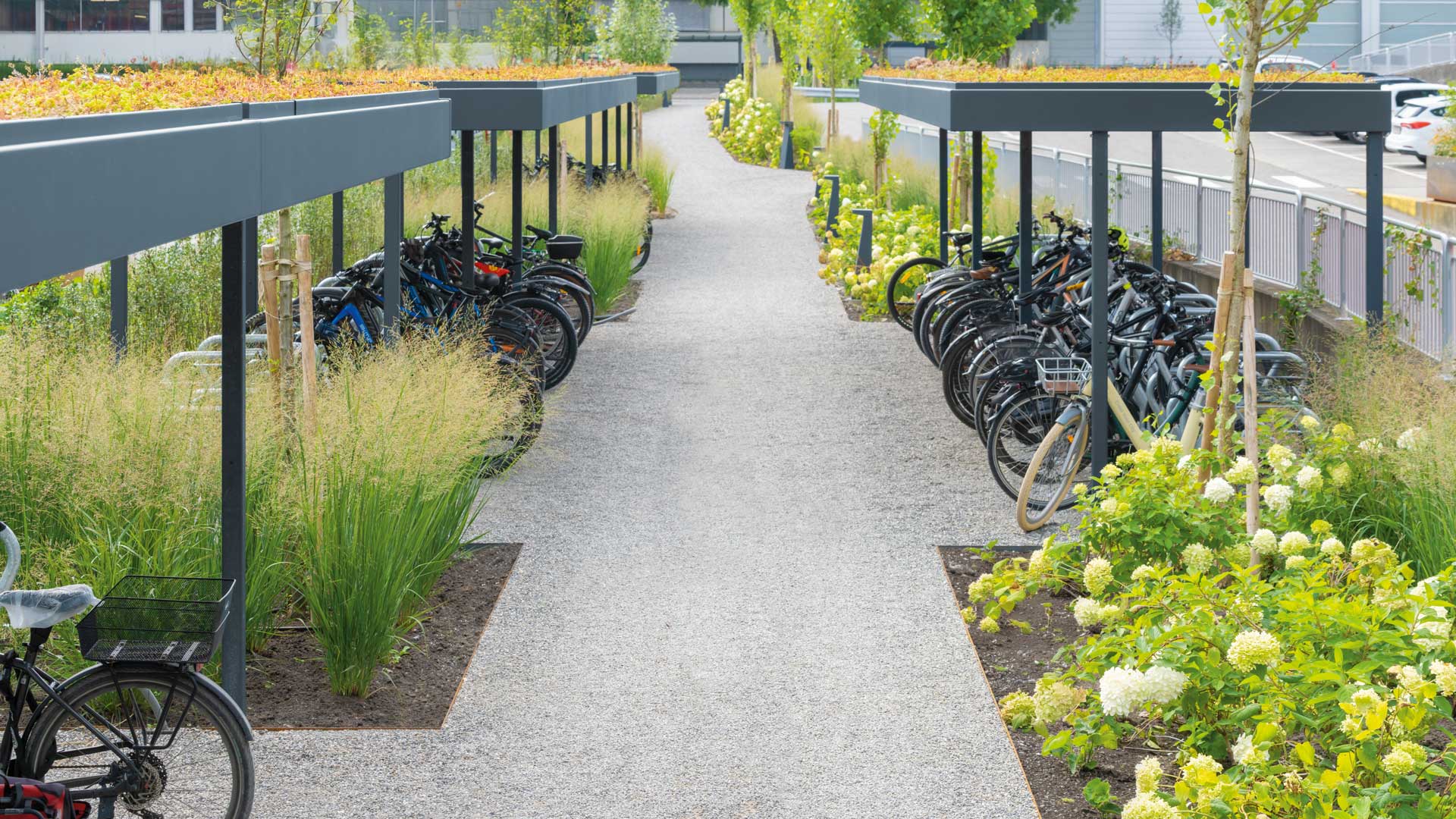 Fahrradüberdachung LUNA GREEN in Bregenz Fahrradüberdachung LUNA GREEN in Bregenz