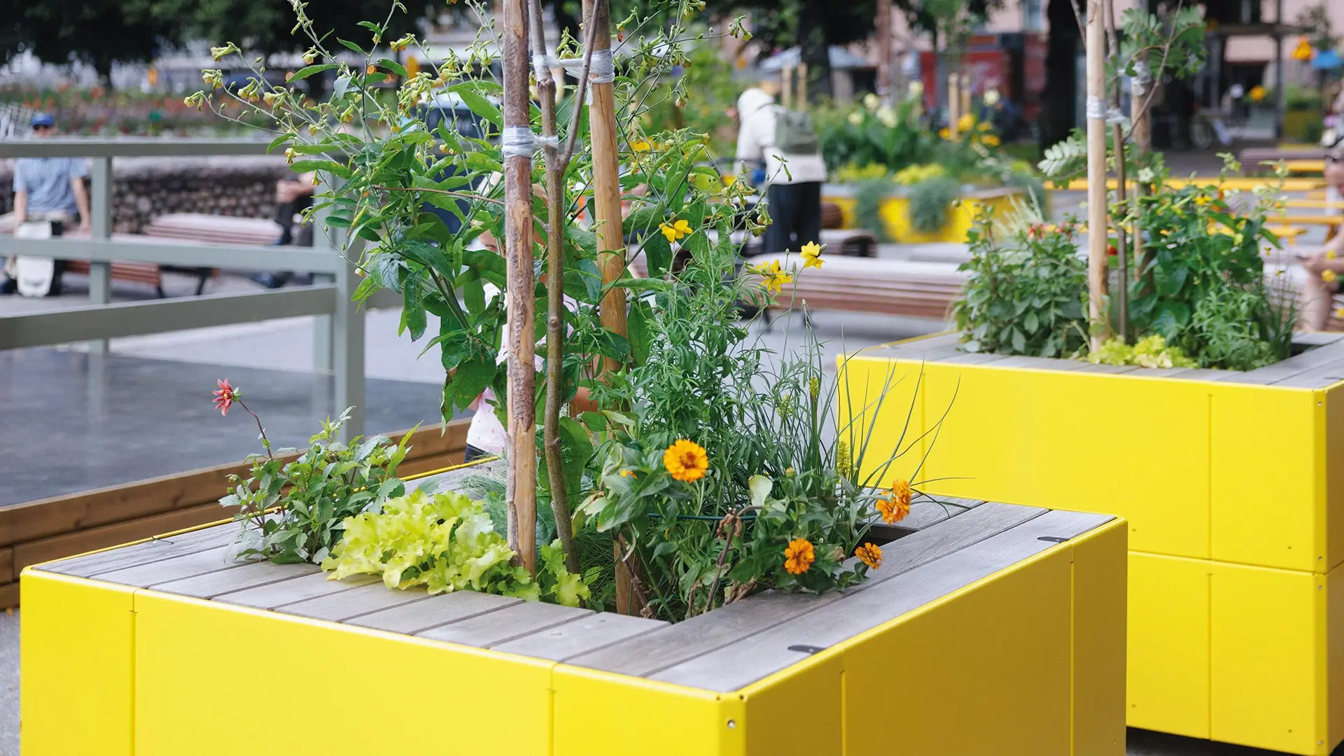Stadtbegrünung durch die Sitzinsel TASKU