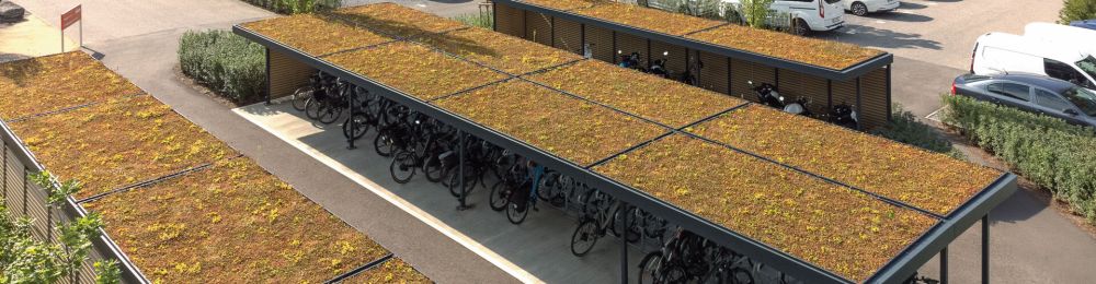 Dachbegrünung auf der Überdachung LUNA GREEN