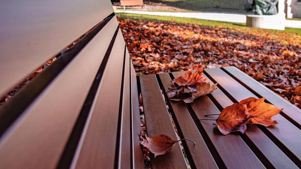 Sitzbank aus Holz in Nahaufnahme, bei Herbstwetter im Park